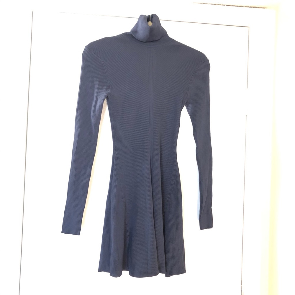 Zara Turtleneck Dress